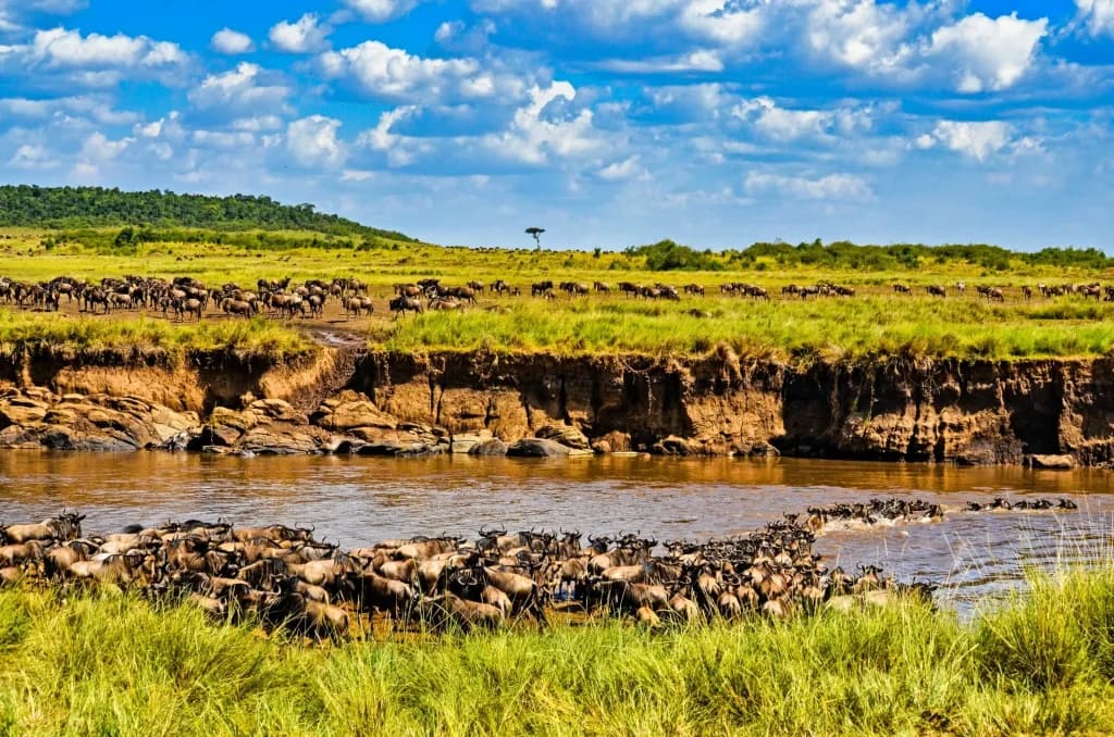 Flying to the Maasai Mara: The Smart Way to Begin a Safari